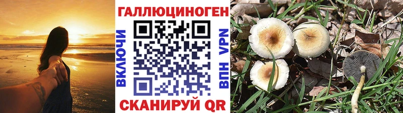 Галлюциногенные грибы прущие грибы Бирск