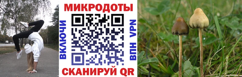 Галлюциногенные грибы мицелий  Бирск 